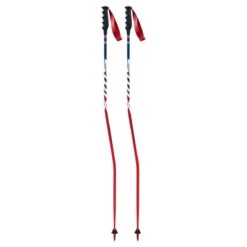 Swix WC Pro Carbon Ski Pole -Swix Store 20 Swix Composite Race Pole GS